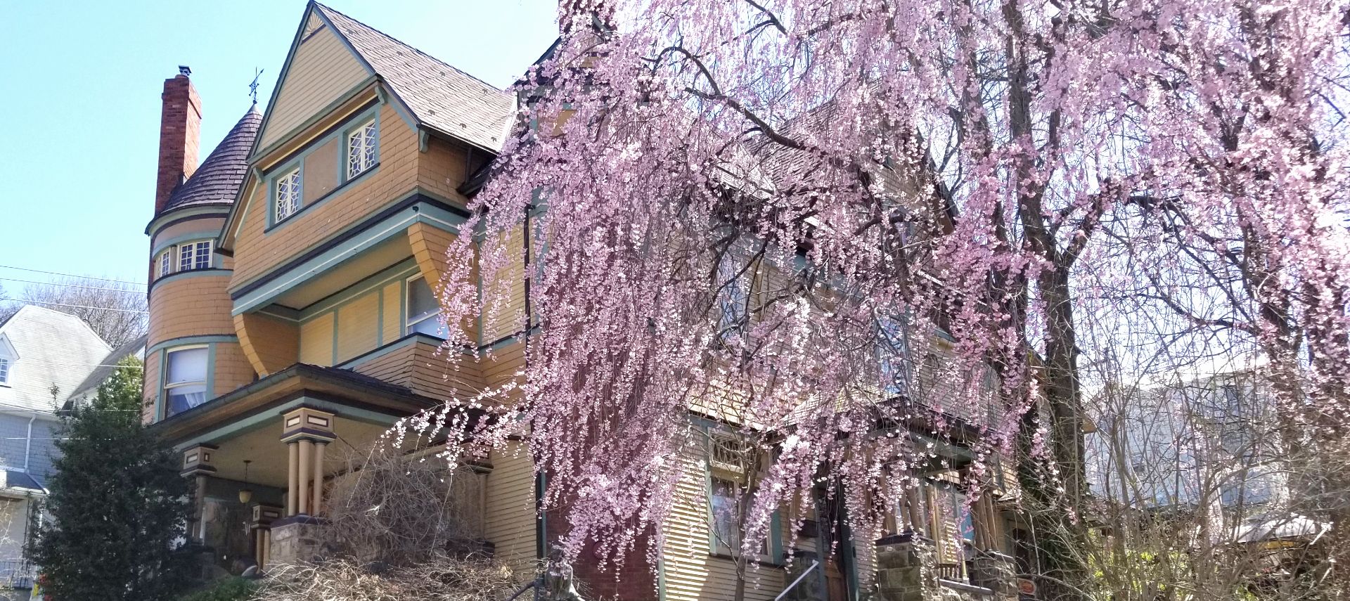 The Queen A Victorian Bed and Breakfast in Bellefonte Pennsylvania